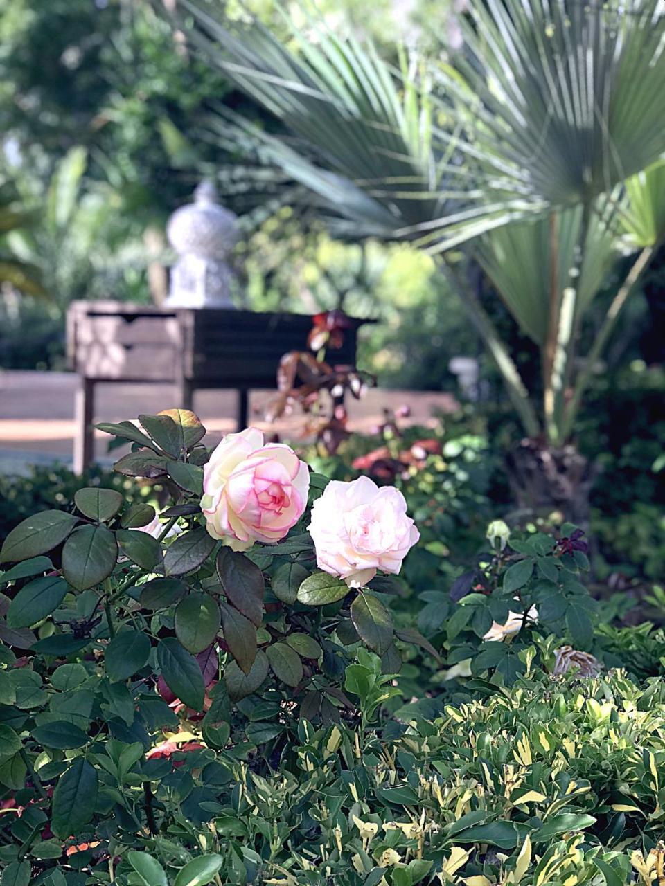 Villa Marrone - Relais - Marsala Eksteriør billede